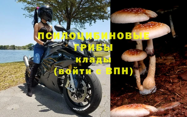 а пвп мука Алексеевка