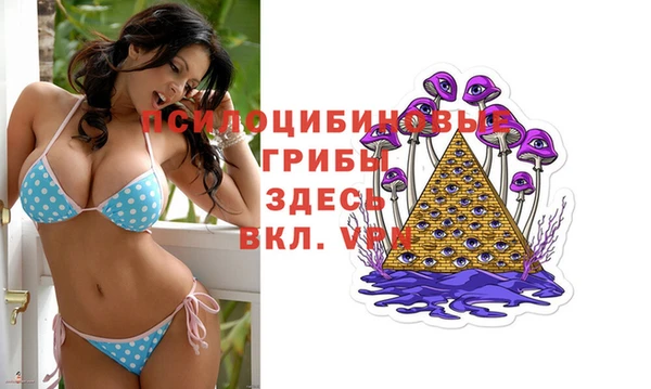 дживик Алзамай